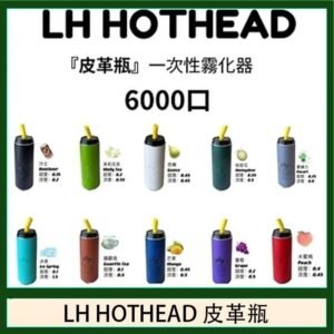 LH HOTHEAD皮革瓶電子煙可充電6000口一次性