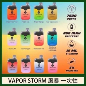 Vapor Storm風暴電子煙7500口(5%)一次性